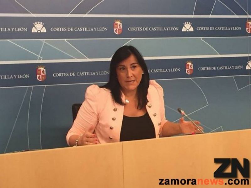 Ana Sánchez pide inversiones y no "discursos vacíos" para Zamora porque la provincia no admite "ni una barbaridad más"