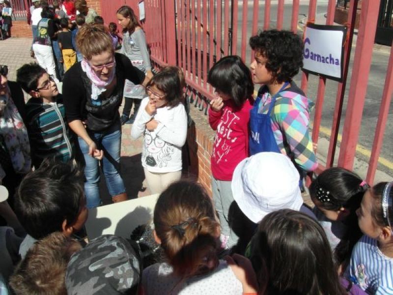 Educación pone a disposición la aplicación 'ADMA' para la consulta del estado de las solicitudes de admisión para el curso 2018-2019