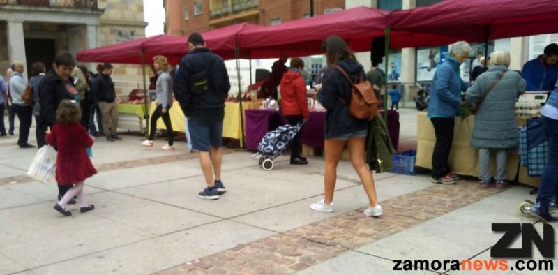 El sábado vuelve a la Plaza de la Constitución una nueva edición del mercado ecológico