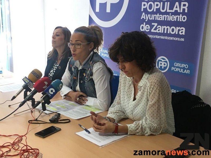 El PP afirma que el gobierno tiene falta de impulso para solucionar los problemas municipales