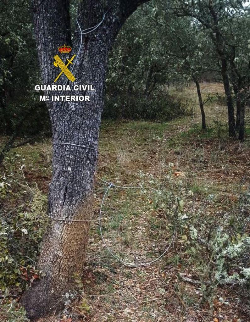 La Guardia Civil de Zamora interviene artes prohibidas para la caza “lazos trampa”
