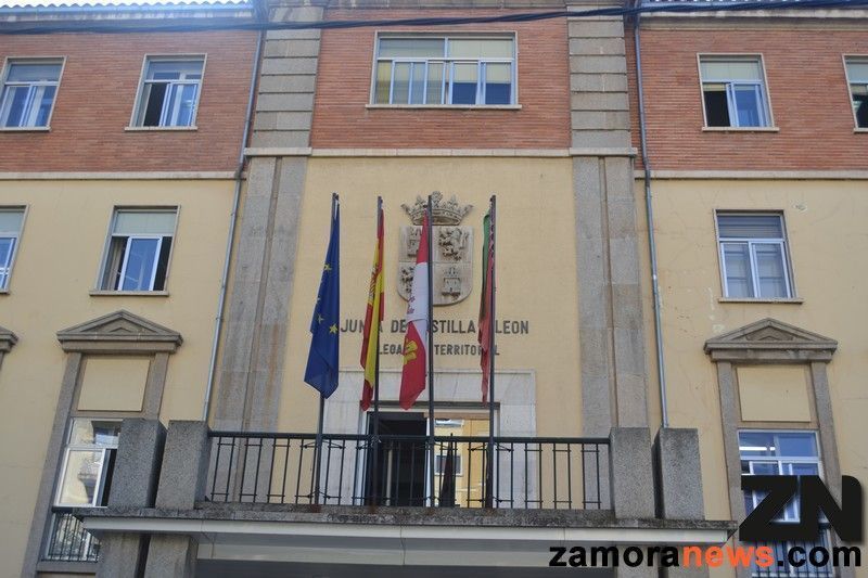 Las 27.000 familias numerosas de Castilla y León ya pueden solicitar la renovación del título de manera completamente telemática