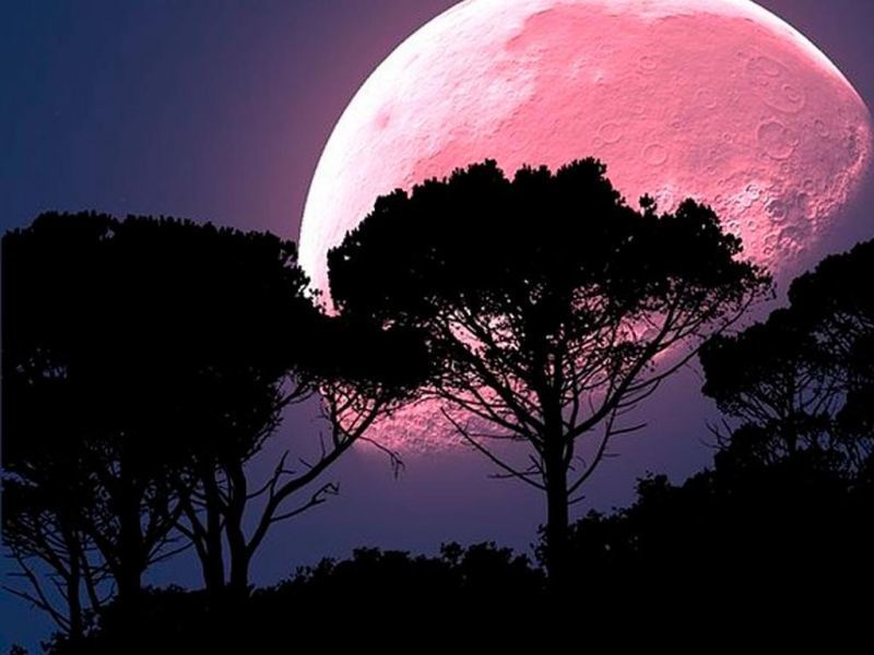 Este 5 de junio habrá luna de fresa o luna rosa y eclipse penumbral