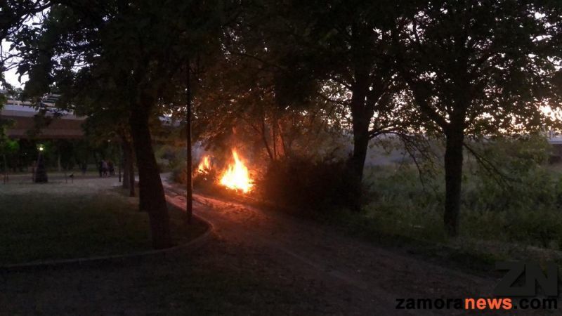 Los Bomberos de Zamora sofocan un incendio provocado en el parque de las Moreras en Olivares