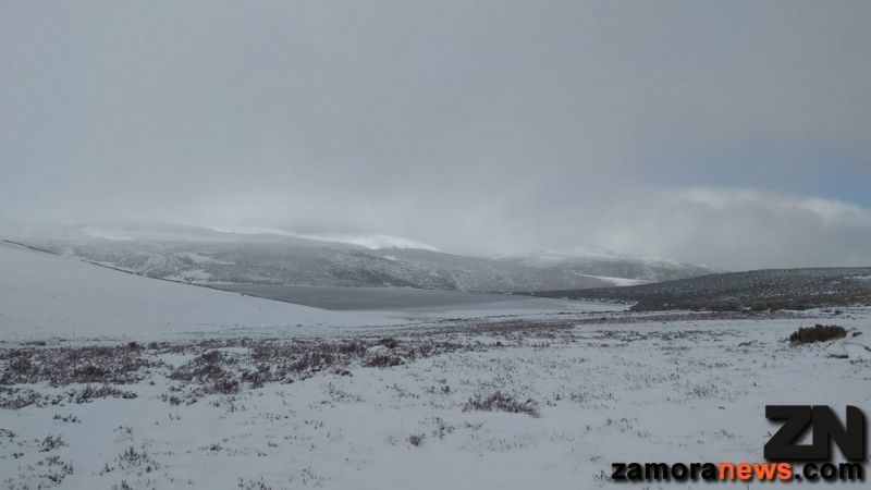 La Laguna de Peces ahora mismo con ventisca y sensación térmica de menos 8ºC