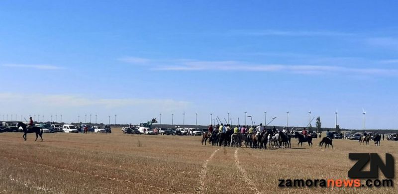 Tarde de encierro campero multitudinario en Andavías