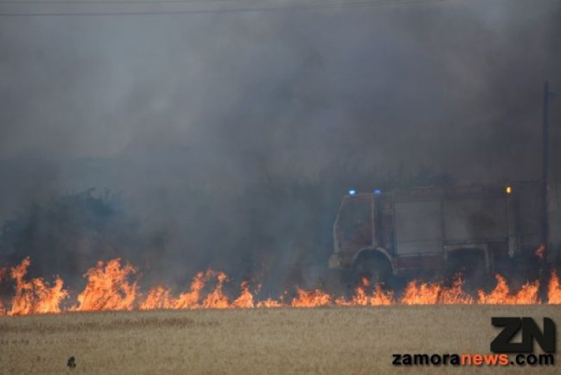 Se mantiene activo el incendio de la tarde del lunes en Bermillo de Alba