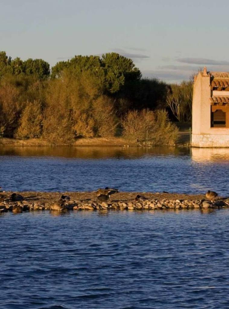 La Casa del Parque de las Lagunas de Villafáfila organiza actividades con motivo del Día de las Aves