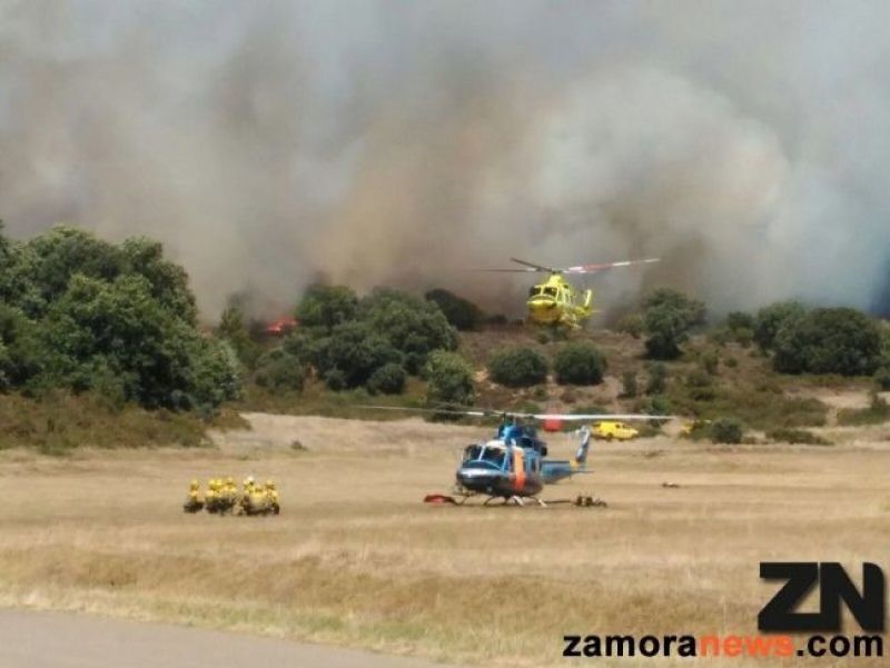 Desciende el número de incendios forestales en Castilla y León, aunque Zamora es una de las provincias más afectadas