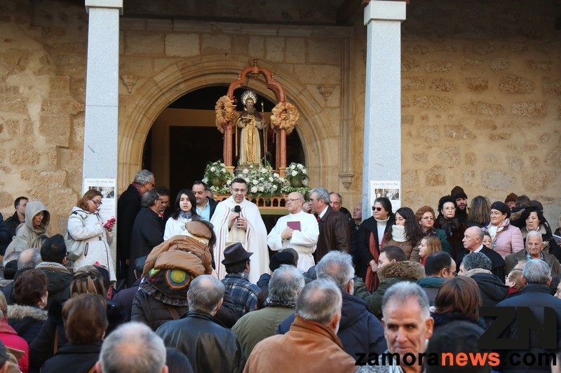 Zamora festeja hoy a San Antonio Abad, patrón de los animales