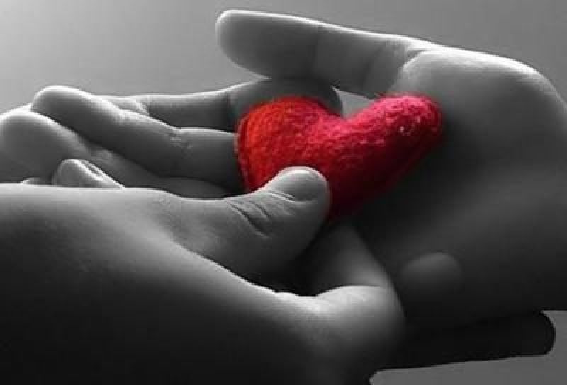 ¿ Conoces las importancia de donar órganos ?