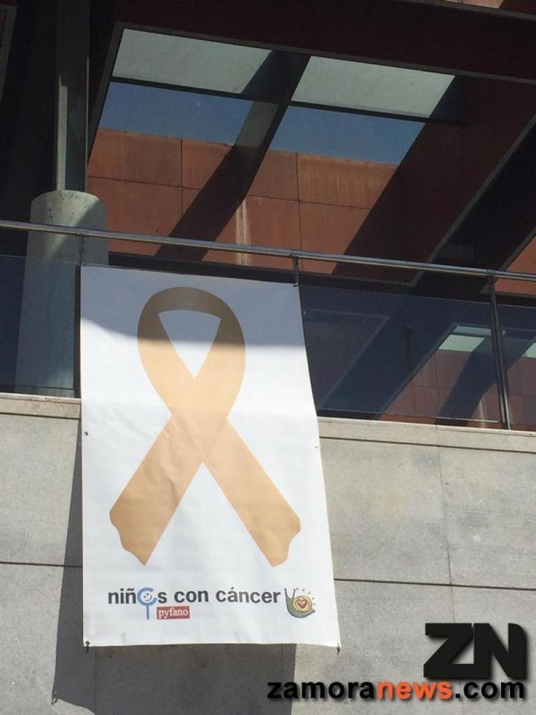 Zamora acumula el 5% del cáncer infantil en Castilla y León