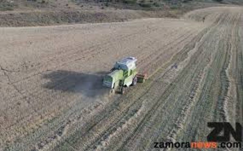 Los nuevos agricultores de Castilla y León reciben el 27,5% de los importes asignados de la reserva de derechos de pago básico de 2020