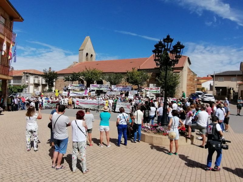 Ayer fue en Santovenia hoy en Faramontanos donde se gritó "no más cerdos"