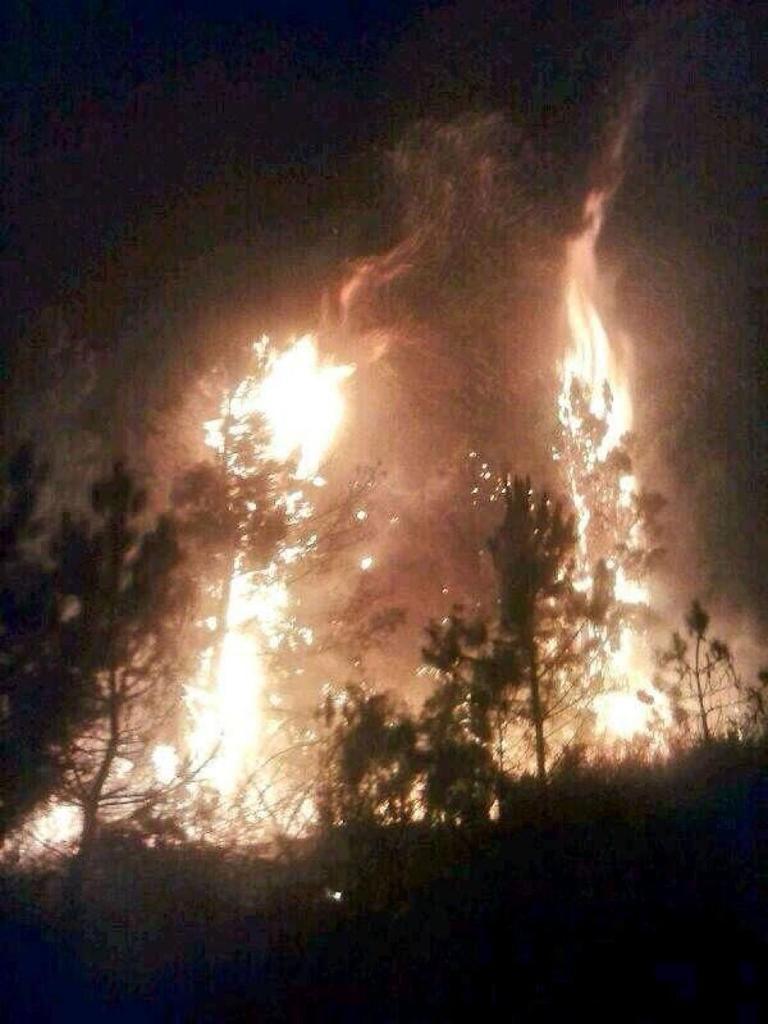 Los tratamientos afectan a la Baja Sanabria y Villardeciervos para prevenir incendios
