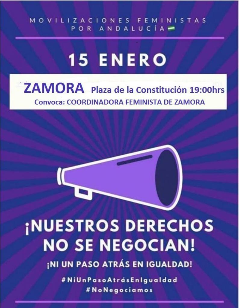 Nueva convocatoria de la Coordinadora Feminista de Zamora para el próximo 15 de enero en la Plaza de la Constitución