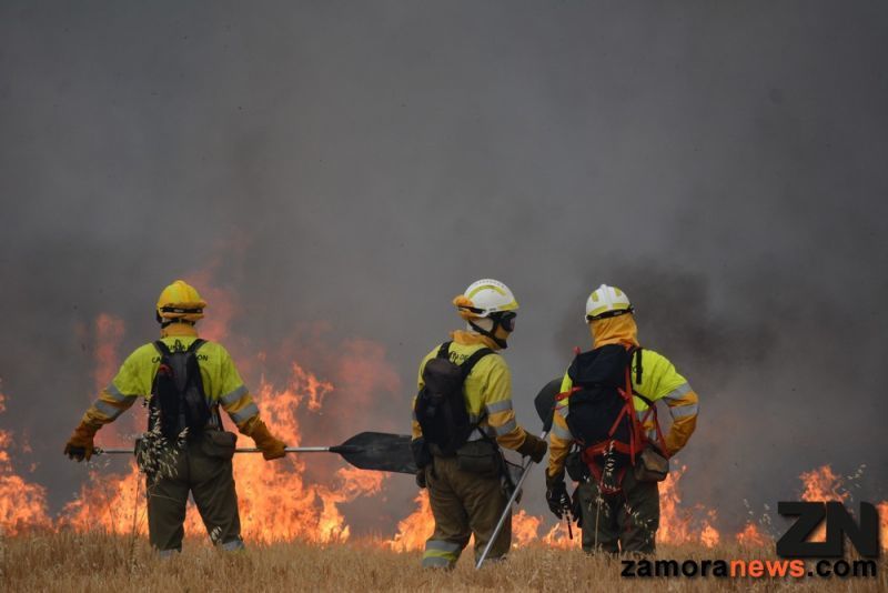 Dos incendios asolan la provincia de Zamora en este 13 y martes, uno en Vega de Villalobos aún activo y otro en Luelmo de Sayago