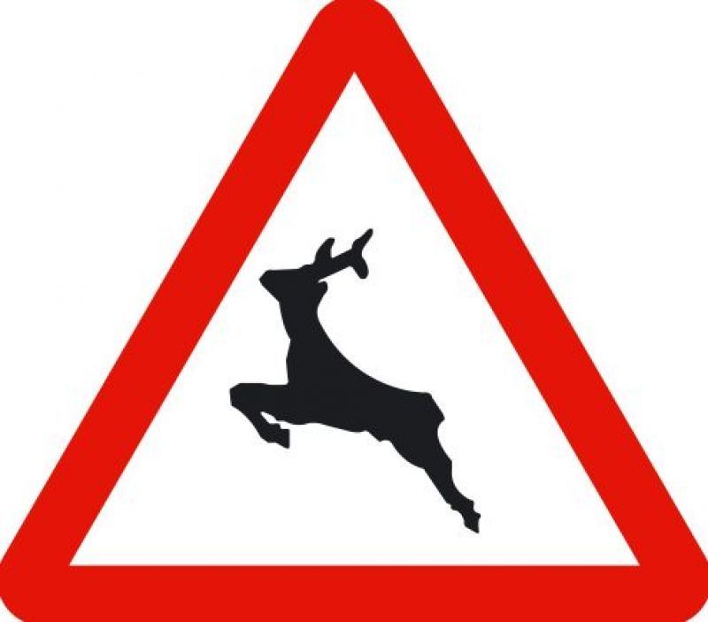 Animales sueltos peligro!!!