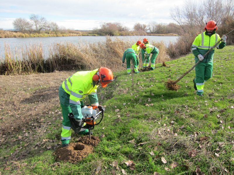 Villaralbo mejora su monte con un nuevo Programa Mixto de Formación y Empleo