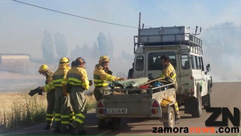 El plan de empleo forestal dará empleo a 45 trabajadores distribuidos en 9 cuadrillas