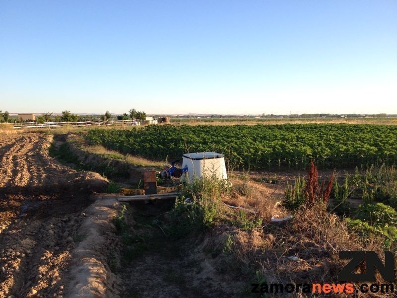 Boca de riego | Foto Zamora News