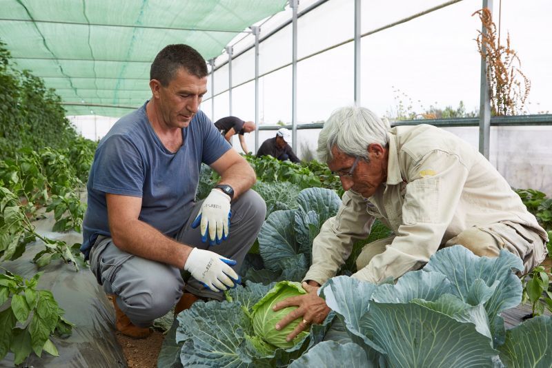La Obra Social "la Caixa" destina 10.000 euros a impulsar un proyecto que promueve el desarrollo social del medio rural en la provincia de Zamora