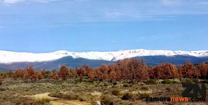 En Sanabria luce el sol y la nieve invita al paseo contemplativo