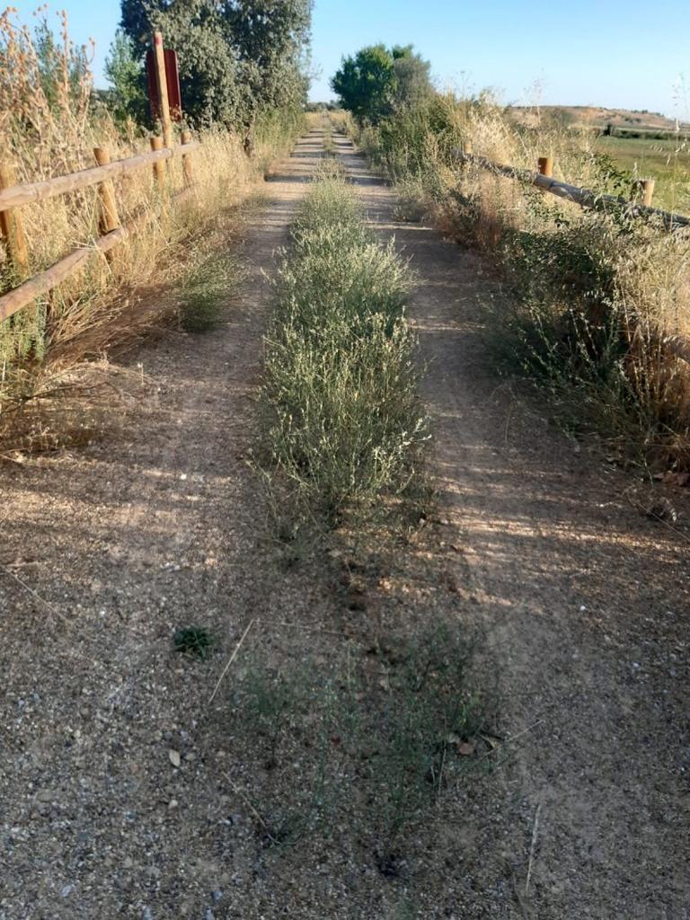 IU de Benavente denuncia el lamentable estado de la Vía Verde por su falta de mantenimiento
