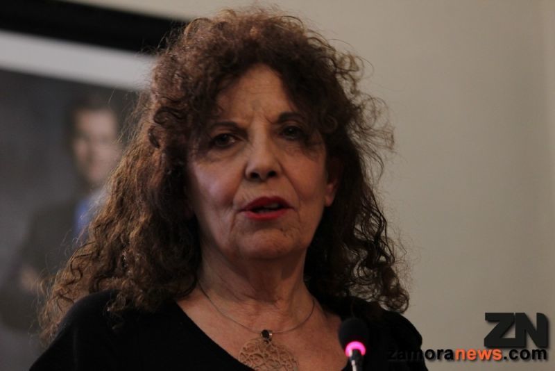 IU apoya la propuesta del senador del PP, Maíllo, para que el Gobierno de España iguale la financiación del Plan de Industrialización de Benavente