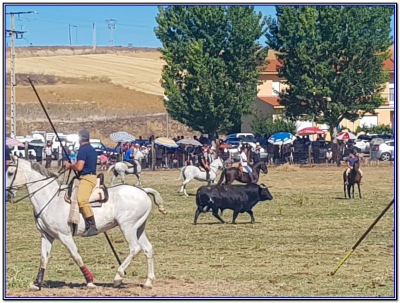 Encierro en Venialbo con revolcón incluido sin consecuencias