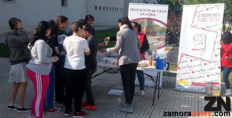 El IES Alfonso IX celebra con un cofee talk el Día Mundial contra la Homofobia