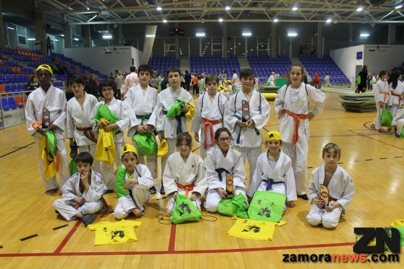Un oro, dos platas y un bronce es el botín de los judocas zamoranos en el Campeonato regional de edad