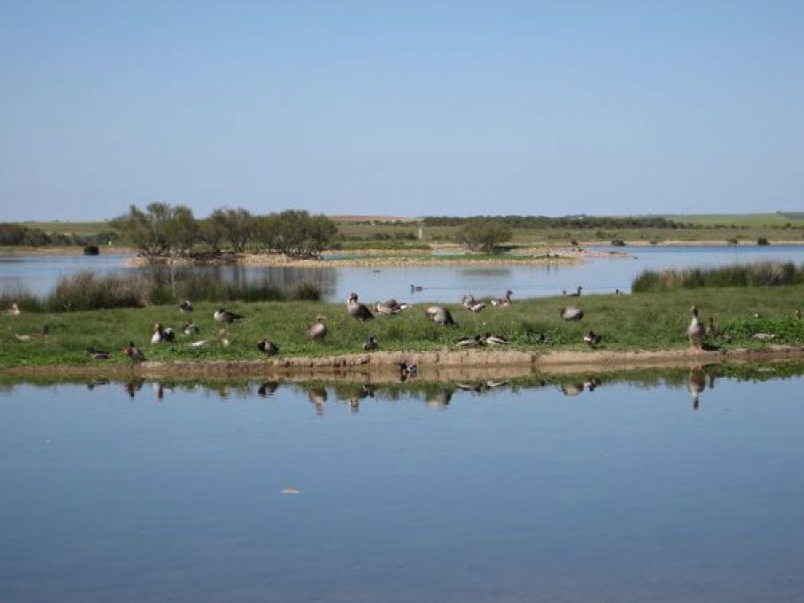 La red de espacios naturales y casas del parque de Zamora recibe más de un millón de visitantes