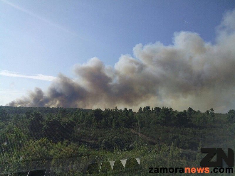 La fuerza de las llamas obliga a activar de nuevo el nivel 2 en el fuego de Latedo