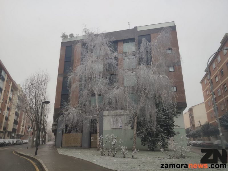 El primer día del año en imágenes
