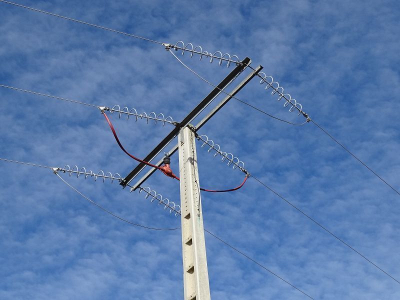 El tendido eléctrico se modifica en las Lagunas de Villafáfila para evitar la muerte de fauna por colisión y electrocución