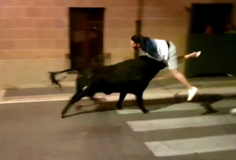 Un joven herido por asta de toro en el último encierro nocturno del martes en la Bóveda de Toro