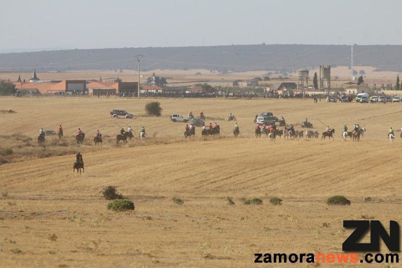 Cientos de zamoranos se dan cita en el Espanto de Carbajales