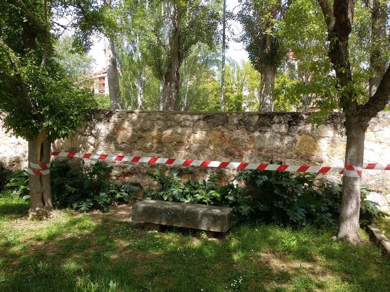 Foto Ayuntamiento de Zamora