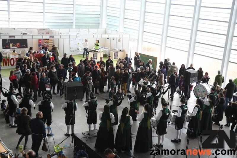 Raíces segunda edición se encamina a su recta final, aún estás a tiempo esta tarde hasta las 21:00 horas
