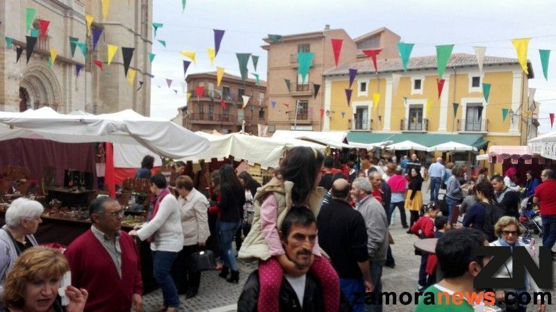 Toro Medieval y de fiesta de Vendimia