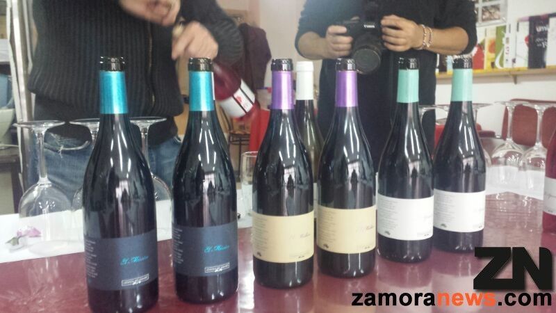 Vinos de León con las variedades autóctonas de Albarín Blanco y Prieto Picudo