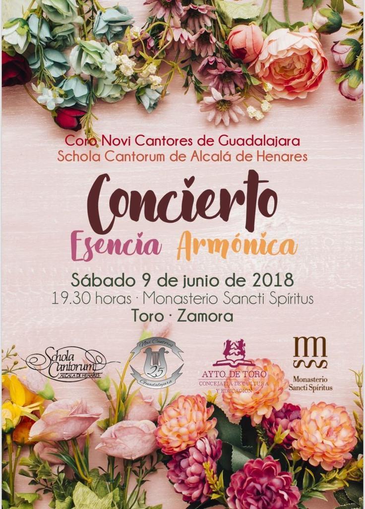 El fin de semana cultural en Toro