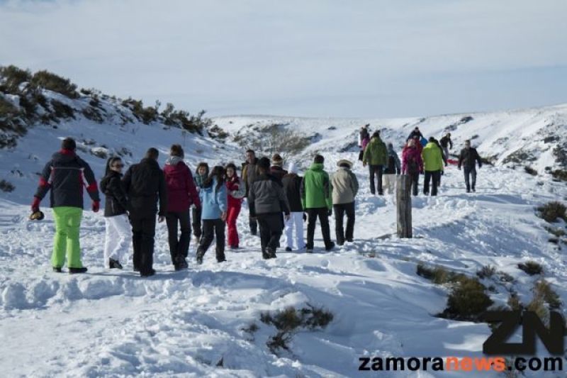 Cerca de 1000 alumnos no han podido asistir hoy a clase en la Comunidad, 355 alumnos de Zamora