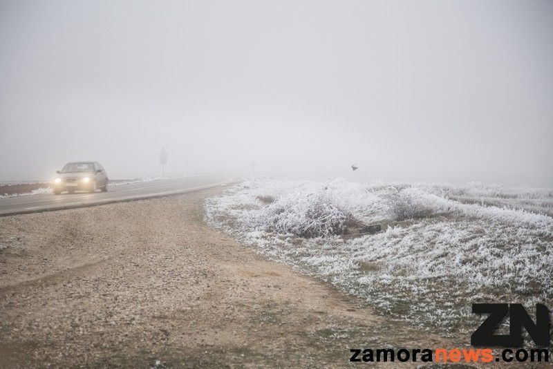 Hielo, nieve helada y niebla engelante en Zamora, 40 tramos en la red secundaria y al menos 4 en la principal con problemas