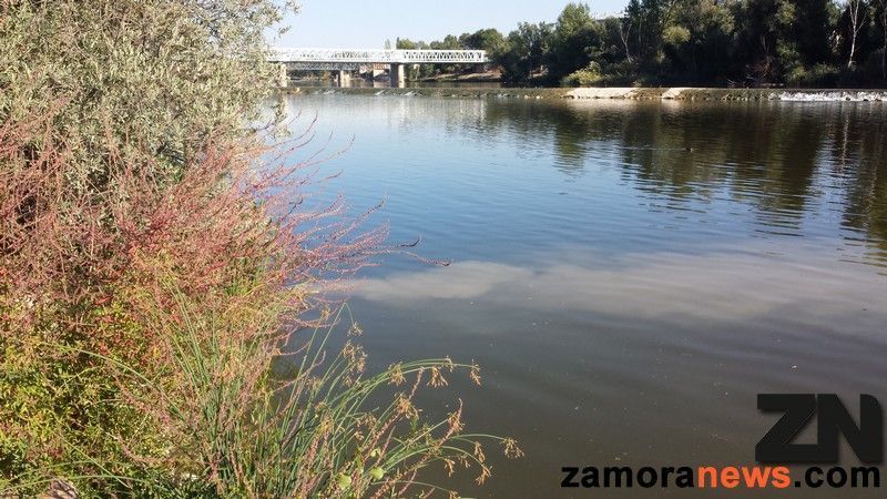 La Concejalía de Igualdad organizará dos talleres infantiles de arquitectura fluvial sobre la ciudad de Zamora