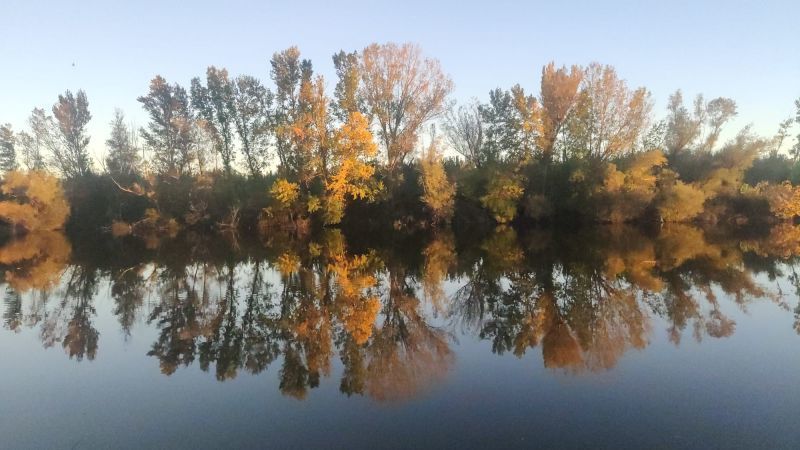 El tiempo en Zamora | Domingo de sol y máximas de 16 grados