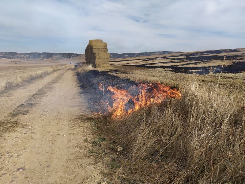 Los vecinos de Sanzoles alertados por los de Madridanos sofocan un incendio a los pies del Teso del Viso