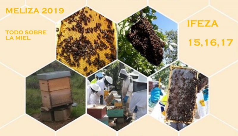 MELIZA todo sobre la miel este fin de semana en IFEZA para descubrirlo en familia