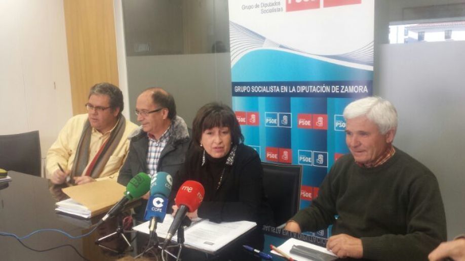 El Grupo Socialista de la Diputación califica los presupuestos 2014 de "retroceso"